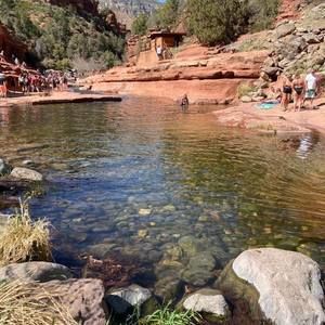 Meet your Posher, Patricia